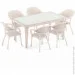 Tilia Flash-R  (8672)