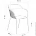 Tilia Shell-MG   ,   (10783)