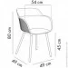 Tilia Shell-N    (10786)