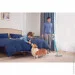  Tineco VA113300DE PWRHero11