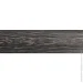 TIS     18562500 