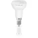   Titanum   6  R50  E14 220  3000  27054