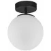  Tk Lighting 6216 CELESTE