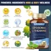   Totaria  -    Liposomal L-Theanine 120  (4384308035)
