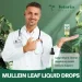   Totaria  '    - Mullein Leaf 60 