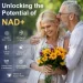   Totaria  -   -    NAD+  120  (4384307598)