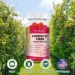   Totaria      - Prebiotic Fiber Gummies60 