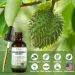   Totaria  -  , ,  ,  Soursop Graviola 60 
