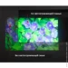   Touyinger       60&apos;&apos; (Reflective-Fabric-Screen-60&apos;&apos;_499)