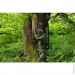 - Tramp Sherwood Regular  dark-olive/grey 220/80 UTRS-054R (UTRS-054R-L)