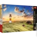  Trefl  :  -  (10823)