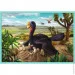  Trefl  - (101) - "   " / Trefl (90390)