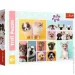  Trefl  +   (16458_15412)