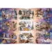 Trefl  :   (81030)