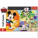 Trefl   :    (14291)