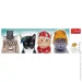  Trefl   (29504)
