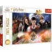  Trefl    (23001)