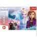  Trefl Frozen.   30  (82538)