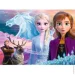  Trefl Frozen.   30  (82538)