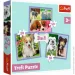  Trefl   (34854)