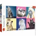  Trefl -(500 .)-"" / Trefl (37377)