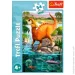  Trefl    54194