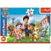 Trefl    54200