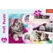  Trefl   (6336330)