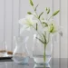  Trendglass LYRA /20  (35503) (35503)