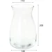 Trendglass   Signe 20 