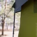Tribe T-AC-0001-olive (T-AC-0001-olive)