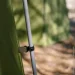 Tribe T-AC-0001-olive (T-AC-0001-olive)