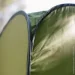Tribe T-AC-0002-olive (T-AC-0002-olive)