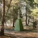 Tribe T-AC-0002-olive (T-AC-0002-olive)