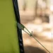 Tribe T-AC-0002-olive (T-AC-0002-olive)