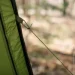 Tribe T-AC-0002-olive (T-AC-0002-olive)