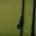 Tribe T-AC-0002-olive (T-AC-0002-olive)