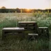  Tribe T-EF-0002-olive (T-EF-0002-olive)