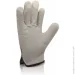 Trident  MASTER    2XL (11) 1510