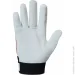 Trident  RIDER    XL (10) 7621