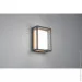    Trio Witham (277860142)