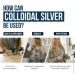   Triquetra    - Bioactive Colloidal Silver 240 
