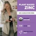  Triquetra    - Plant Zinc 60  (4384307089)