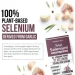 Вітаміни Triquetra Рослинний селен преміум-класу Total Selenium 60 капсул (4384307102) Вітаміни Triquetra Рослинний селен преміум-класу Total Selenium 60 капсул (4384307102)