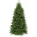 Triumph Tree  Denberg 2.15, 