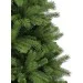 Triumph Tree  Denberg 2.15, 