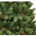 Triumph Tree  Empress 2.15, 