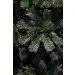  Triumph Tree  Forrester 1.55,  (8718861444520)