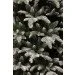  Triumph Tree  Hallarin     1.85,  (8718861443776)