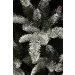  Triumph Tree  Hallarin     1.85,  (8718861443776)